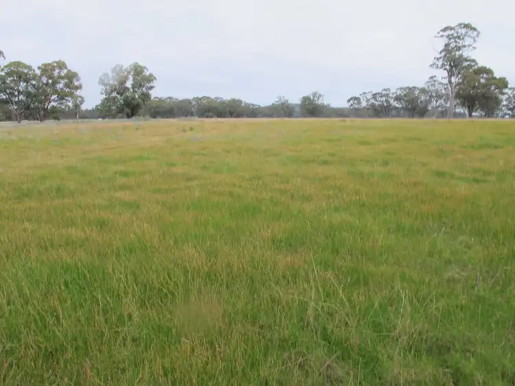 Sixth view of Homely rural property listing, # Downies Lane Mockinya via, Horsham VIC 3400