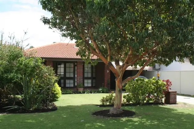 Sixth view of Homely house listing, 3 Hurst Street, Attadale WA 6156