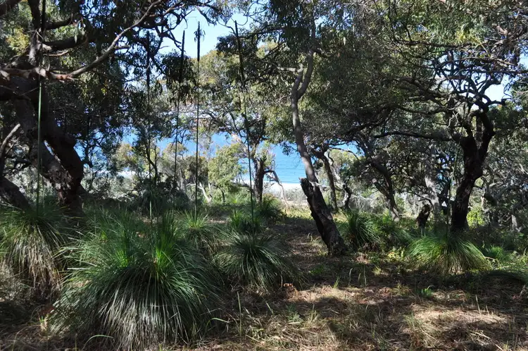 Fifth view of Homely land listing, Lot 157 Osprey Drive, Agnes Water QLD 4677
