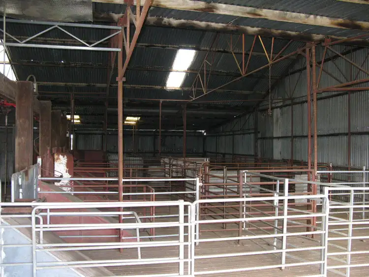 Fifth view of Homely rural property listing, 26860 Albany Highway, Cranbrook WA 6321