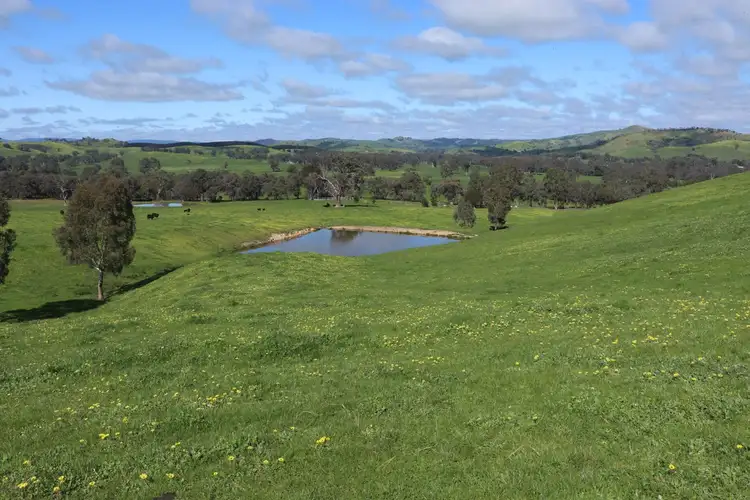Third view of Homely rural property listing, 239 Murrindindi Road, Murrindindi VIC 3717