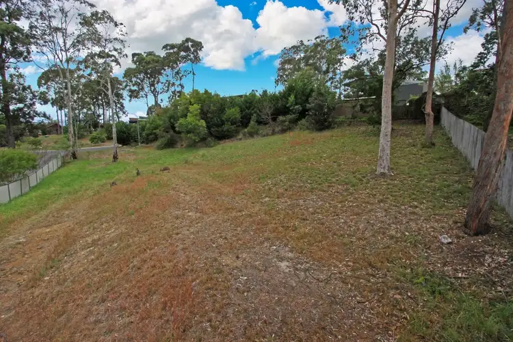 14 Bellbird Close, Surfside NSW 2536