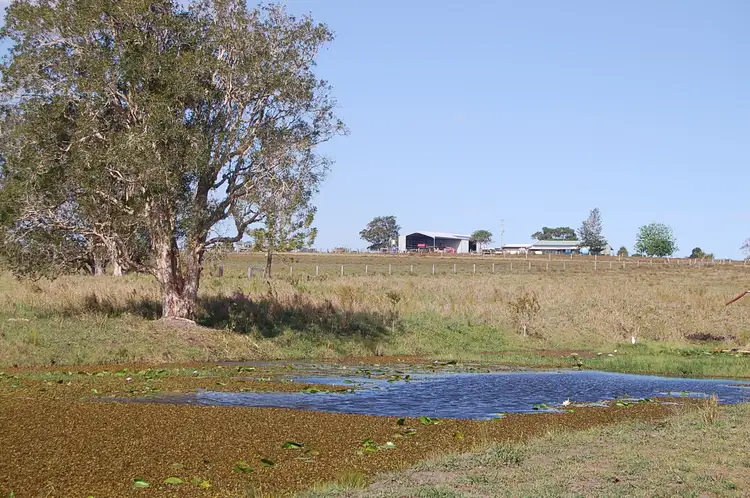Main view of Homely rural property listing, 460 Coraki-Ellangowan Road, Coraki NSW 2471