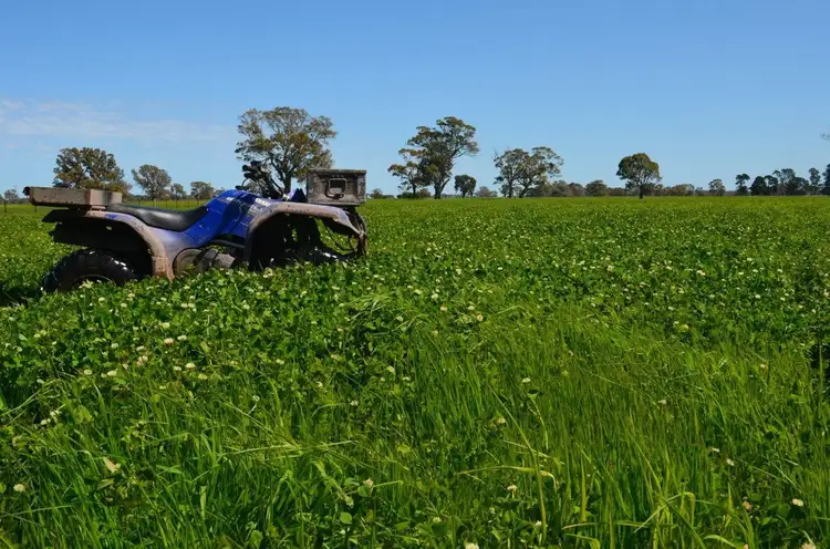 Lot 1 Burgess Lane, Naracoorte SA 5271