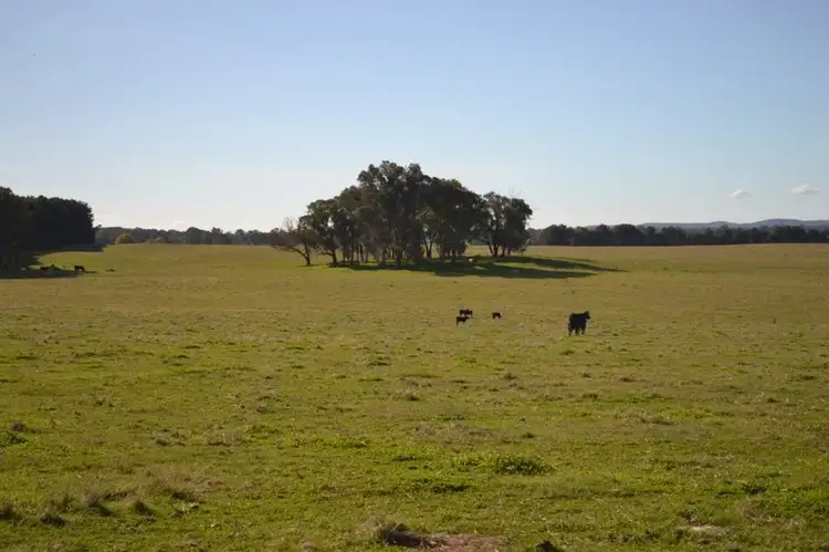 Fourth view of Homely rural property listing, 74 Craven Road, Rosewood NSW 2652