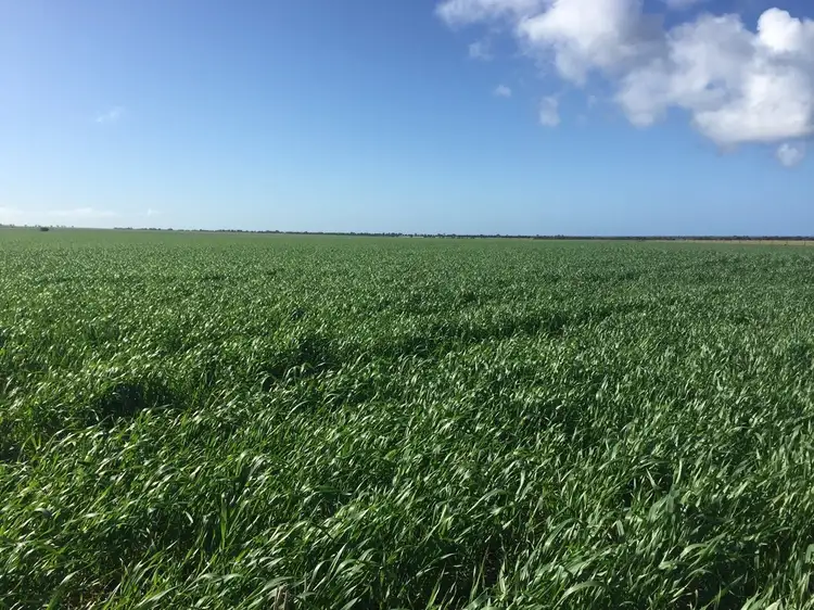 Third view of Homely land listing, Lot 1 Mine Hill Road, Tumby Bay SA 5605