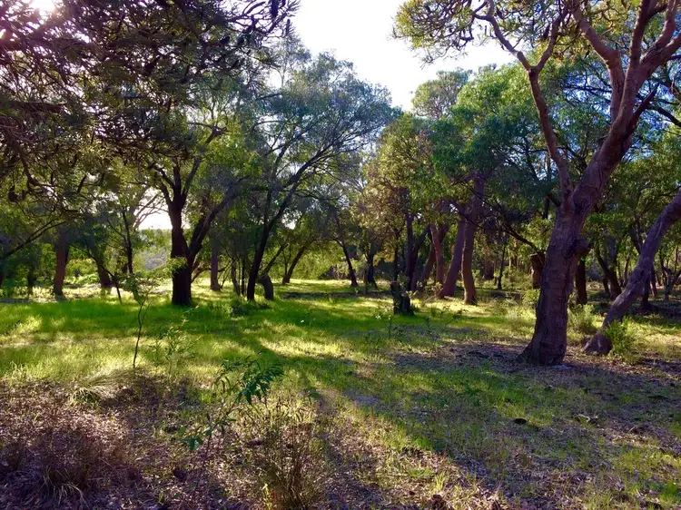 Main view of Homely land listing, Lot 103 Gunyulgup Valley Drive, Yallingup WA 6282