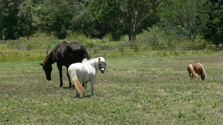 Fifth view of Homely land listing, Lot 11 / 105 Telford Road, Strathdickie QLD 4800