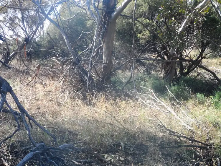 Seventh view of Homely land listing, Section 24 Conservation Road, Pinnaroo SA 5304