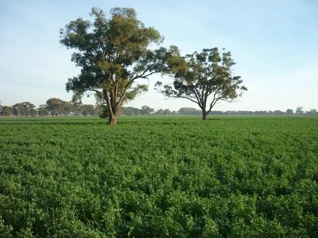 Main view of Homely rural property listing, Lot 1 Thyra Road, Moama NSW 2731