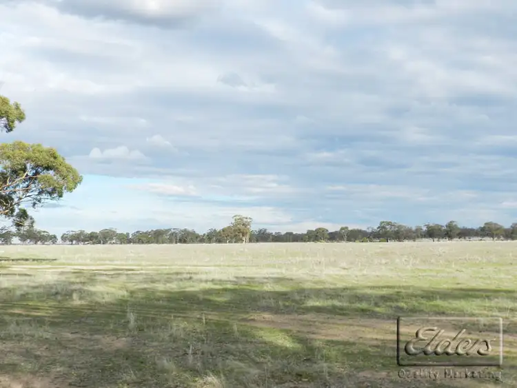 Fifth view of Homely rural property listing, Lot 1 Boort-Kurting Road, Korong Vale VIC 3520