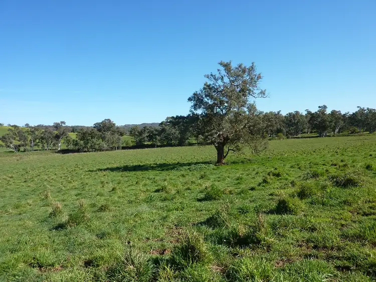 Third view of Homely rural property listing, 589 Humula Road VIia Tarcutta, Wagga Wagga NSW 2650