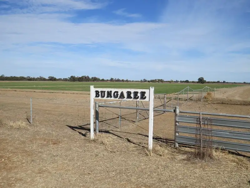 Main view of Homely rural property listing, "Bungaree" Flanagans Lane, Deniliquin NSW 2710