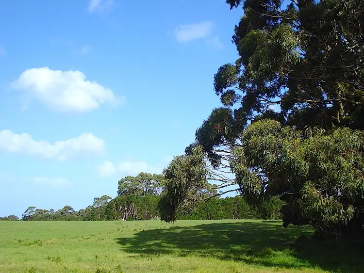 Third view of Homely rural property listing, 113 BOLD HEAD ROAD, King Island TAS 7256
