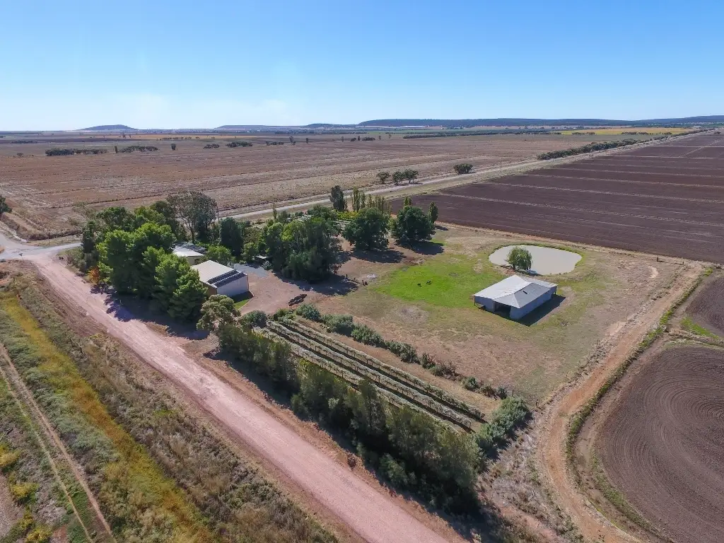 Main view of Homely house listing, 950 Boundary Road, Murrami NSW 2705