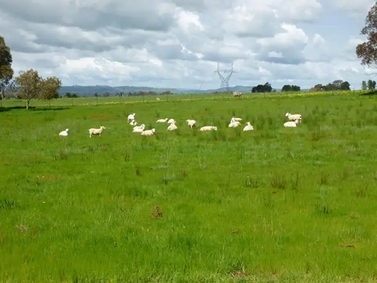 Fourth view of Homely rural property listing, 598 Glenellen Road, Jindera NSW 2642