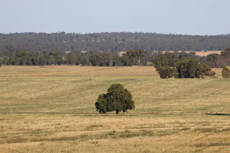 Sixth view of Homely rural property listing, Wildwood Salters Lane, Ardlethan NSW 2665