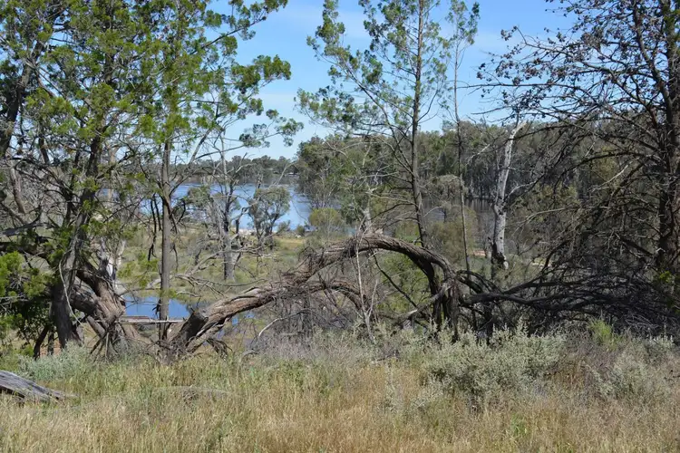 Fifth view of Homely rural property listing, Lot 1 464B River Road, Coomealla NSW 2717