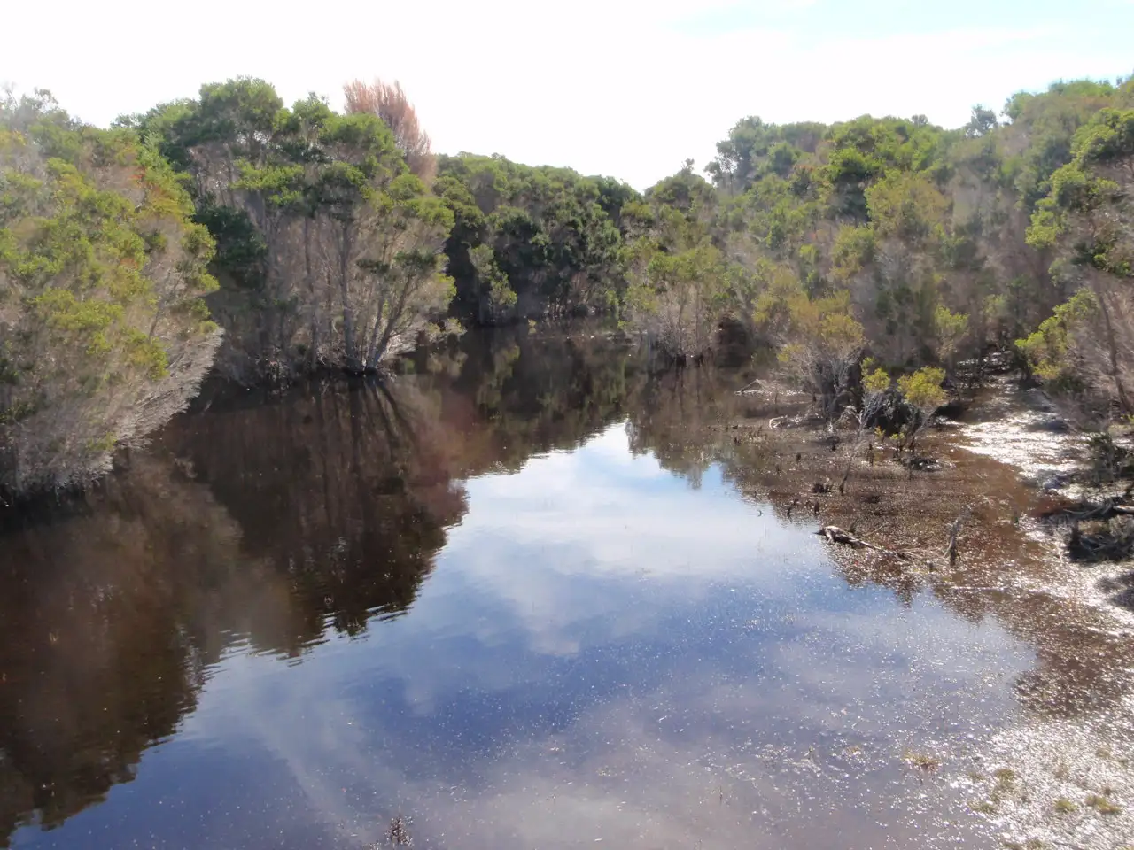 Main view of Homely rural property listing, Lot 1 Palana Road, Blue Rocks, Flinders Island TAS 7255