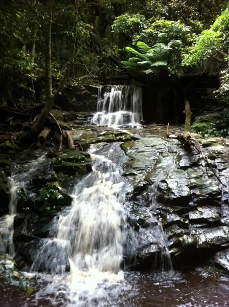 Fifth view of Homely land listing, 946 Jamberoo Mountain Road, Jamberoo NSW 2533