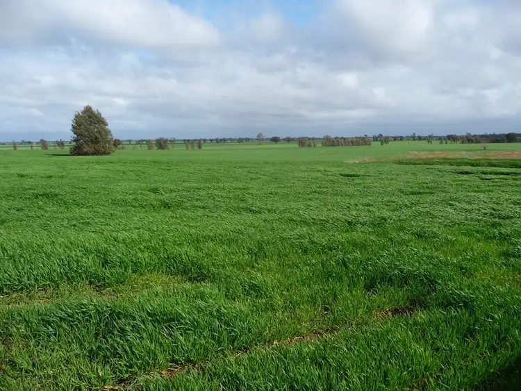 Second view of Homely rural property listing, 749 Scott Heard Lights Road, Horsham VIC 3400