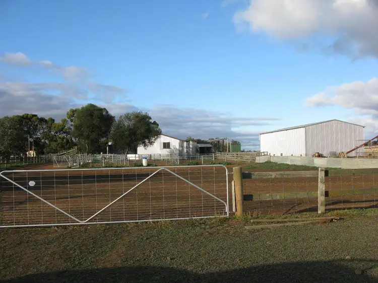 Fourth view of Homely rural property listing, 2100 Frankland-Cranbrook Road, Cranbrook WA 6321