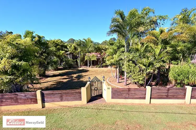 Main view of Homely house listing, 111 Riflebird Drive, Upper Caboolture QLD 4510