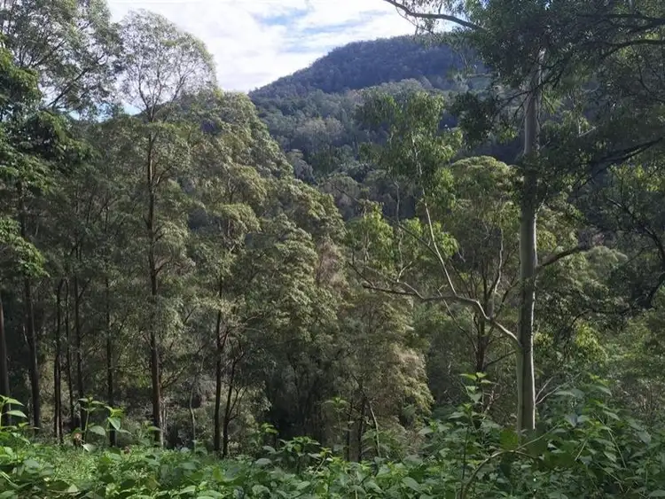 Seventh view of Homely rural property listing, 496 Gungas Road, Nimbin NSW 2480