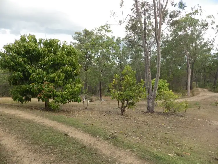 Seventh view of Homely house listing, 43242 Bruce Highway, Colosseum QLD 4677