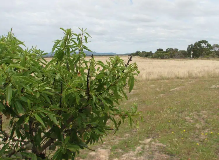 Fifth view of Homely rural property listing, 1332 Hopetoun-Ravensthorpe Rd, Hopetoun WA 6348