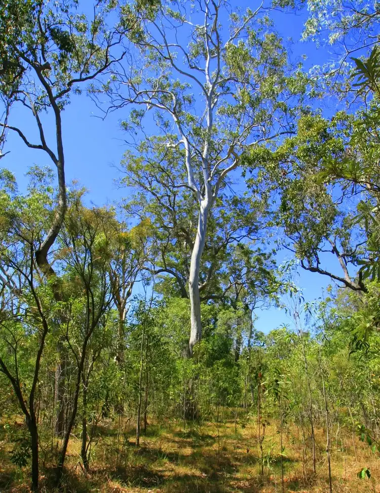 Fifth view of Homely land listing, Address available on request