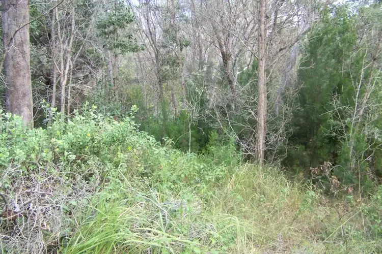 Third view of Homely land listing, 27 GOODSELL CRES, Lamb Island QLD 4184