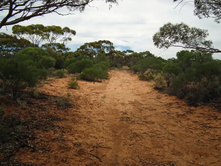 Second view of Homely land listing, Section 386 Ral Ral Avenue, Cooltong SA 5341