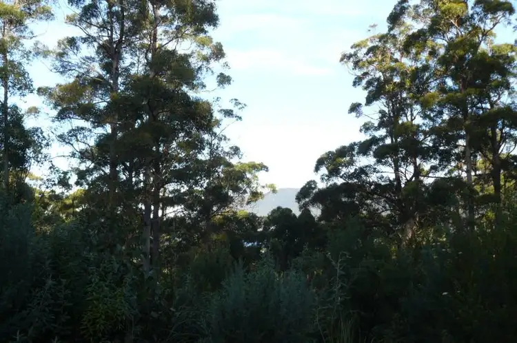 Seventh view of Homely land listing, Lot 5 Lyndal Drive, Eaglehawk Neck TAS 7179