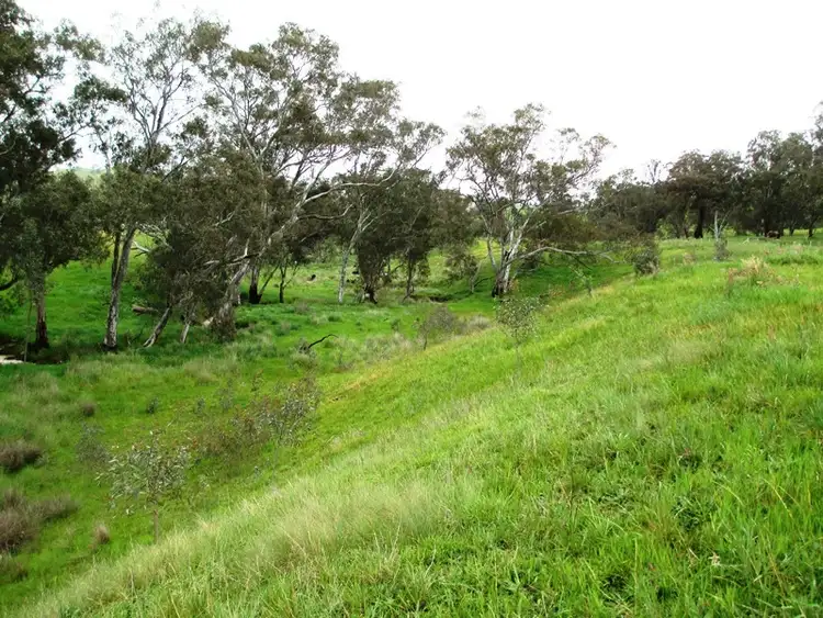 Fifth view of Homely rural property listing, 122 Parsons Road, Alexandra VIC 3714