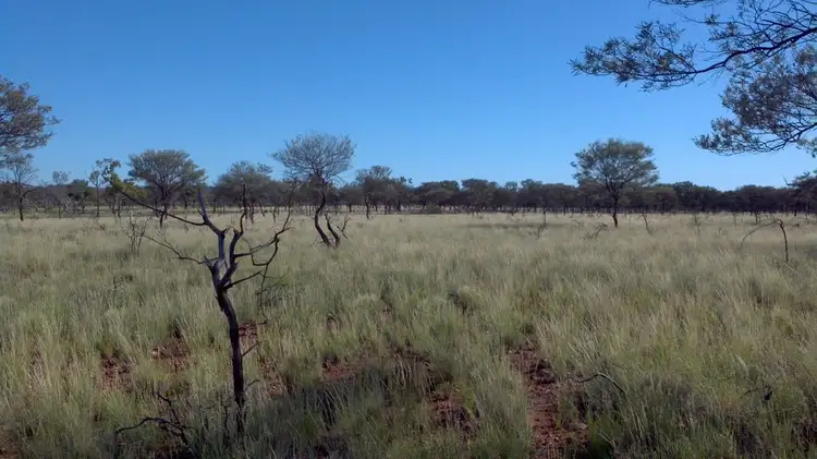 Sixth view of Homely rural property listing, '' PENAROO", Eulo QLD 4491