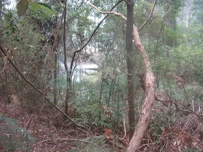 Sixth view of Homely rural property listing, - Douglas Road, Kindred TAS 7310