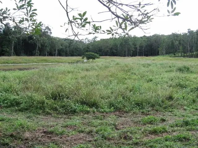 Main view of Homely house listing, 910 Euluma Creek Road, Julatten QLD 4871