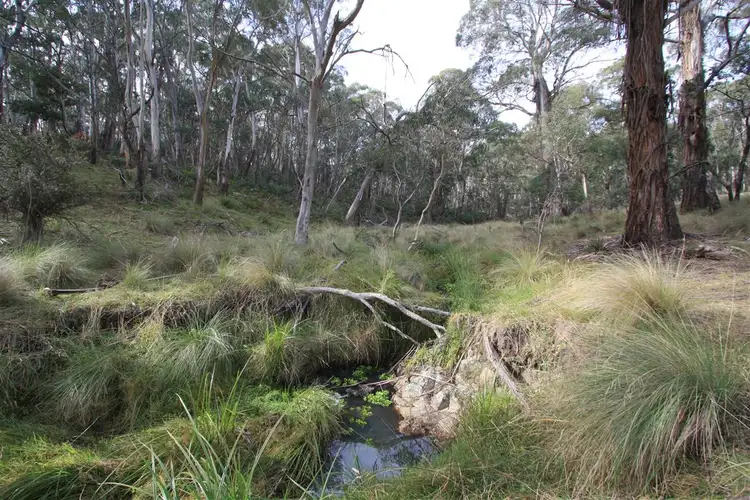 Third view of Homely rural property listing, 648 NEW LINE ROAD, NIMMITABEL, Cooma NSW 2630