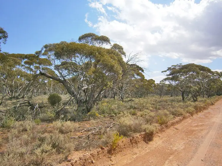 Third view of Homely rural property listing, 27 McKay Road, Blanchetown SA 5357