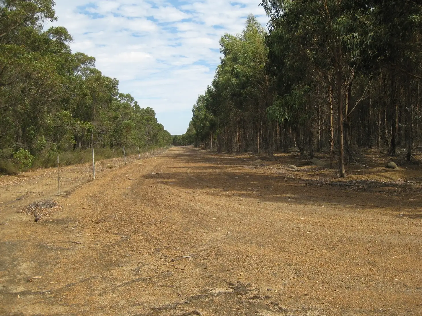 Main view of Homely rural property listing, Lot 1221 Muir Highway, Mount Barker WA 6324