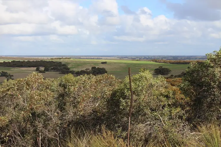 Sixth view of Homely rural property listing, 226 Raphael Road, Keith SA 5267