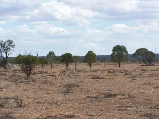 Main view of Homely land listing, Lot 20 Mackay Road, Blanchetown SA 5357