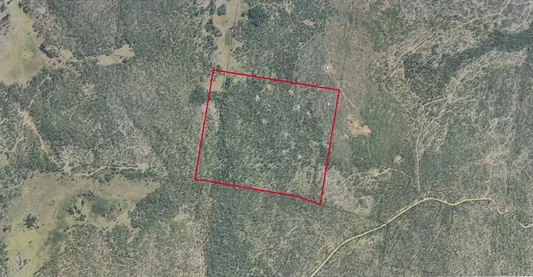 Third view of Homely land listing, 0 Alma Tier Shack Site, Interlaken TAS 7030