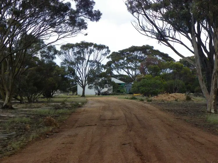 Fourth view of Homely rural property listing, "Kentwood Farms" 1134 Ongerup-Pingrup Road, Ongerup WA 6336