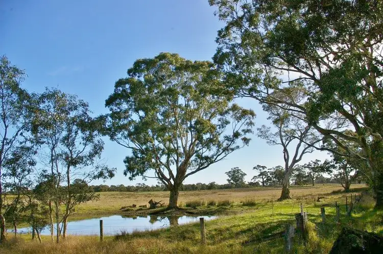 - Bahgallah Road, Casterton VIC 3311