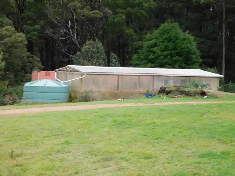 Fifth view of Homely rural property listing, 61 Masons Road, Milabena TAS 7325