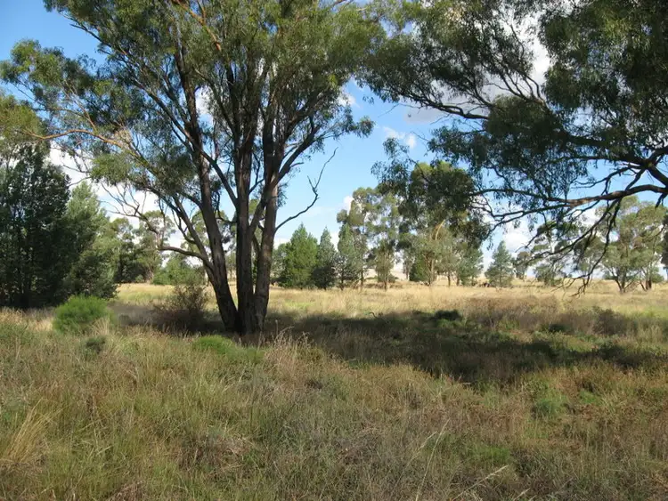 Fifth view of Homely land listing, Lot 157 Dwyers Road, Alectown NSW 2870