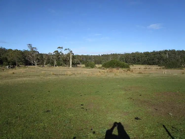 Sixth view of Homely rural property listing, 295 Palmers Road, Latrobe TAS 7307