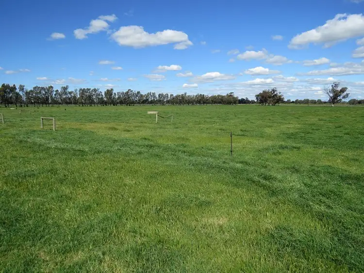 Sixth view of Homely rural property listing, 193 Allens Road, Numurkah VIC 3636